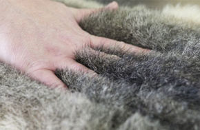 Picture for category Finished Pelts