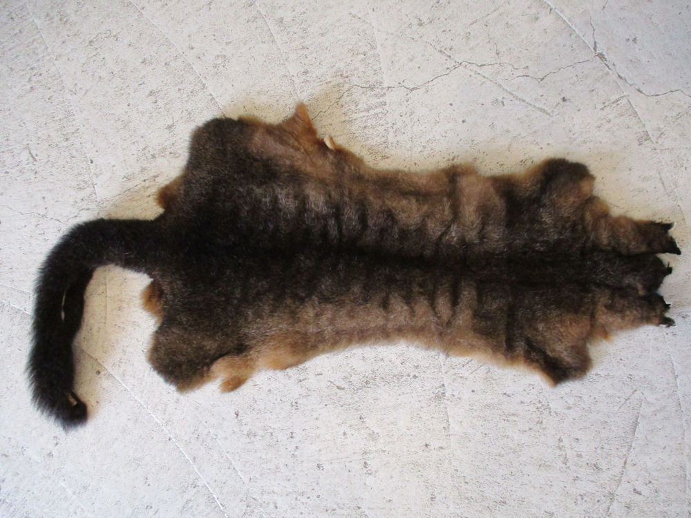 Picture of Souvenir Possum Fur Skin